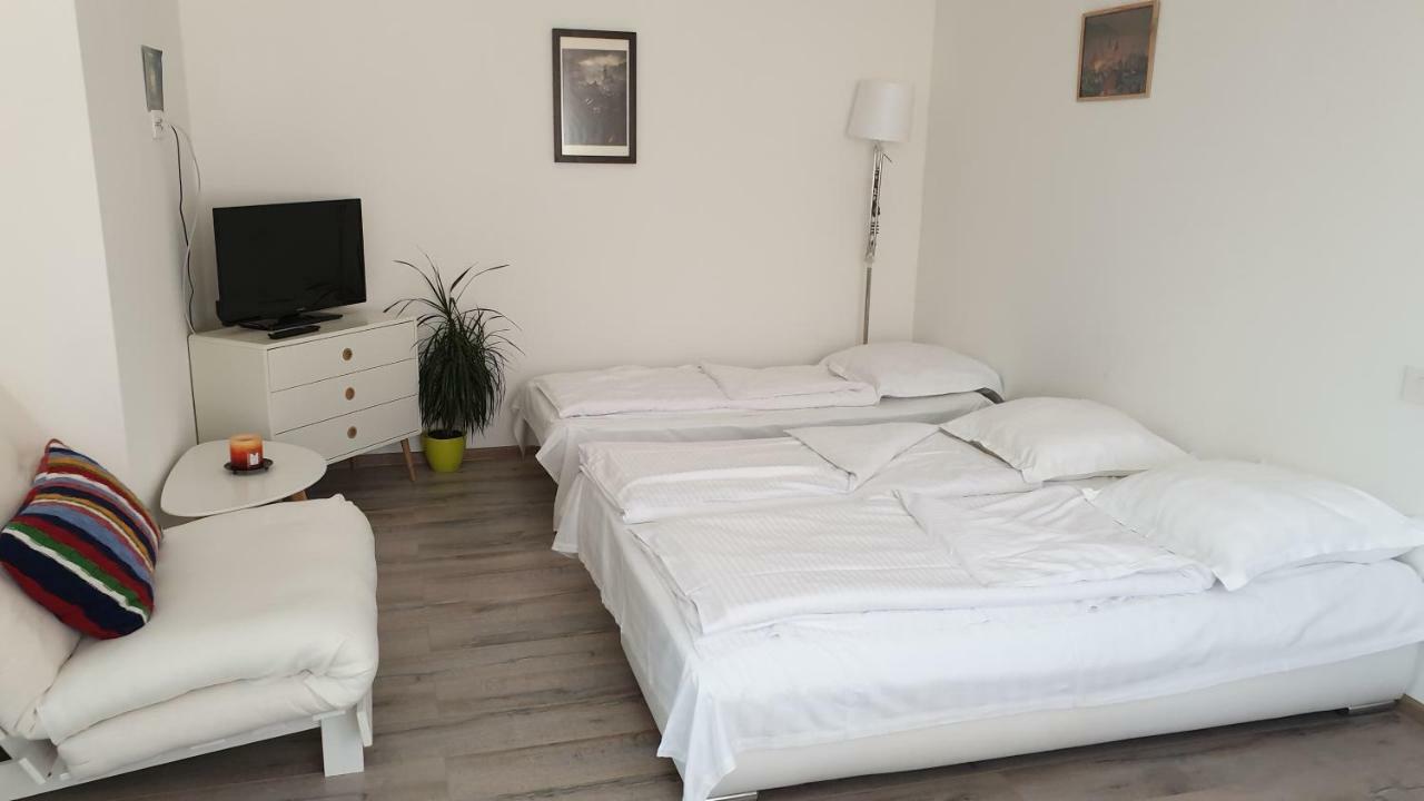 Apartament Schiller 58 Брашов Экстерьер фото